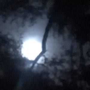 Meet your Posher, Terrillyn